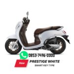 SCOOPY